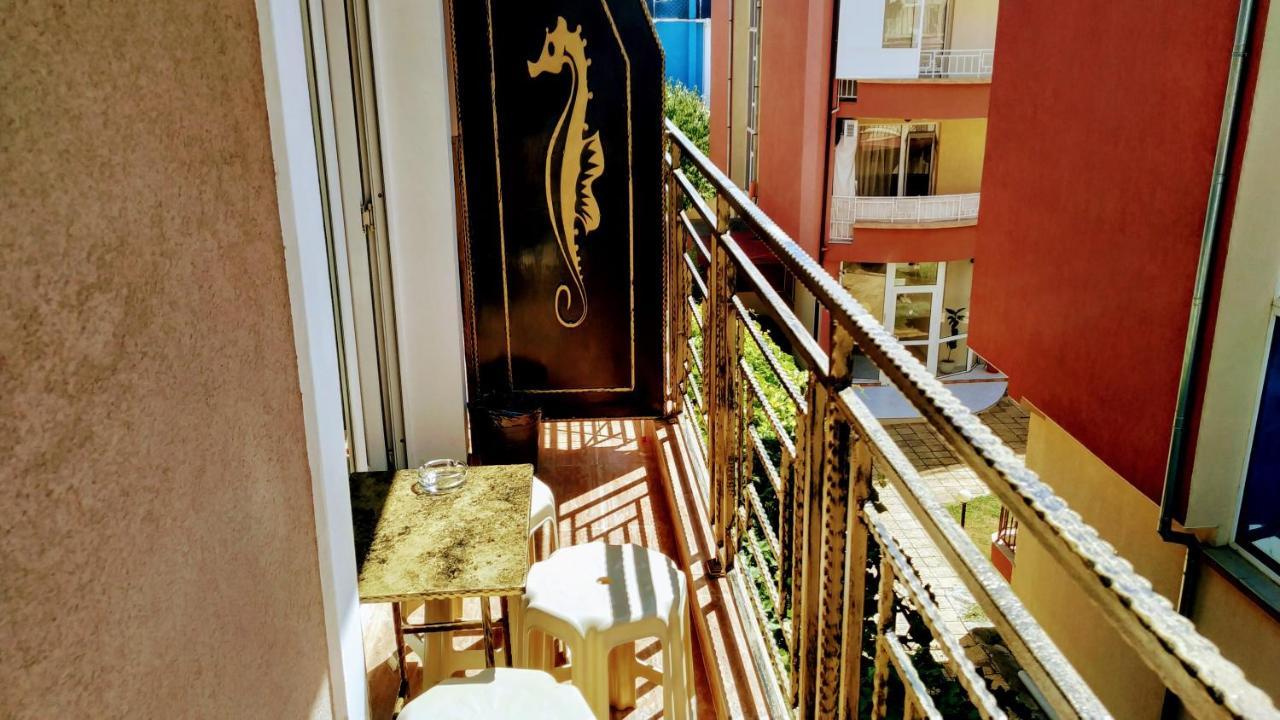Dracena Guesthouse Ravda Exterior photo